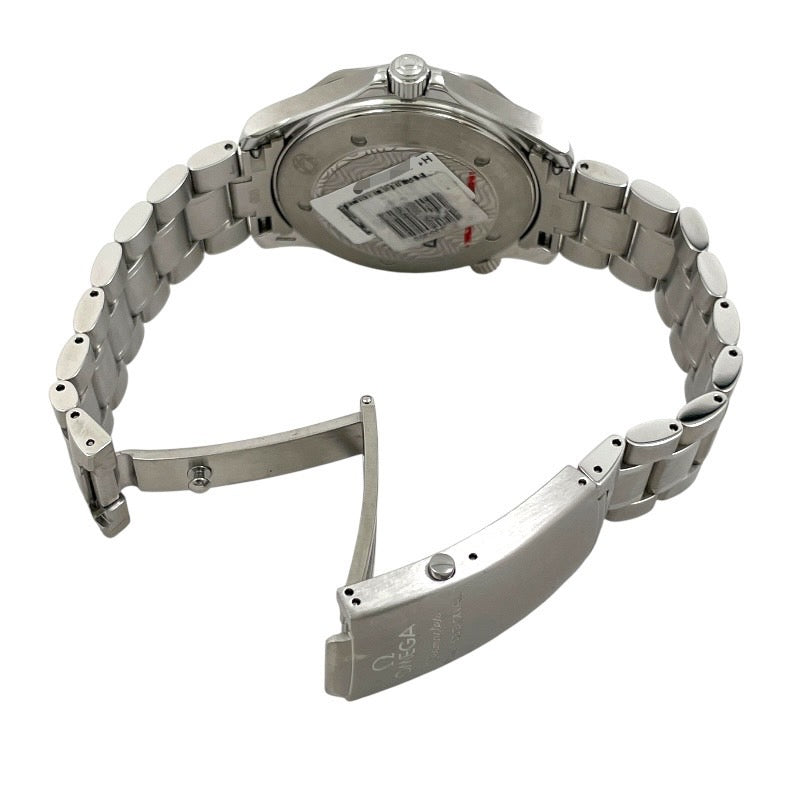 OMEGA】オメガ シーマスター プロフェッショナル 2254.50 腕時計